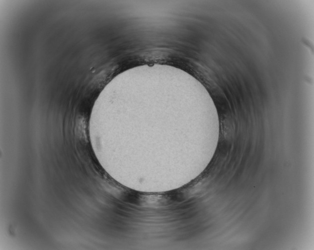 X0000096690575200803041303