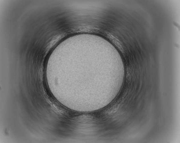 X0000096690578200803041302