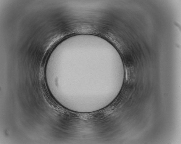 X0000096690579200803041302