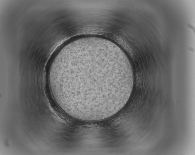 X0000096690580200803041302