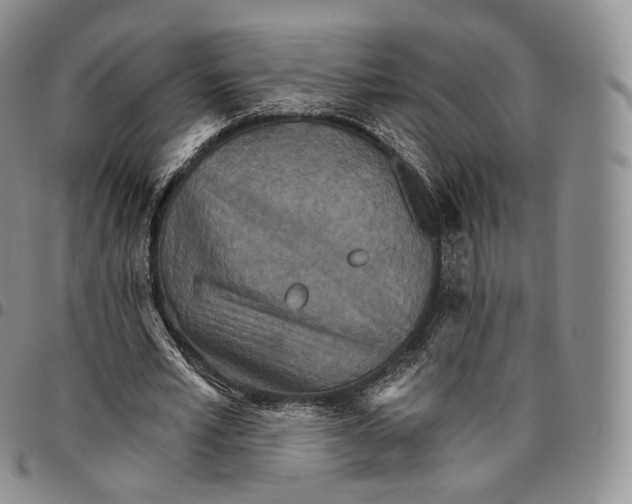 X0000096690581200803041302