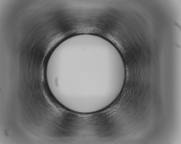 X0000096690582200803041302