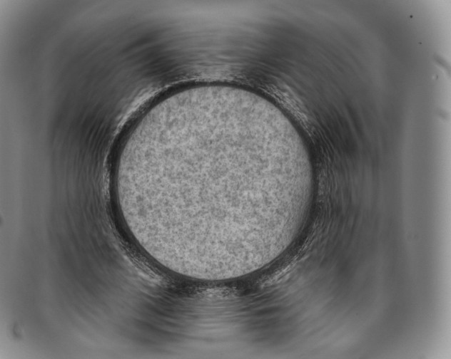 X0000096690584200803041302