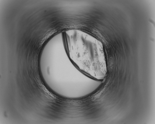 X0000096690585200803041302