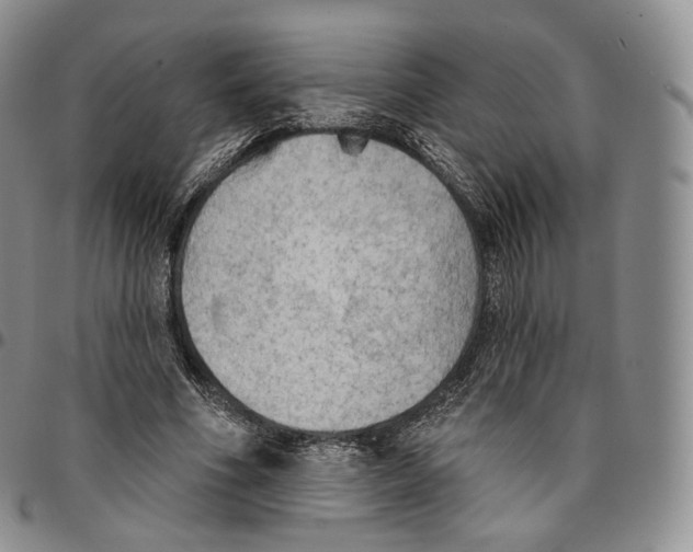 X0000096690586200803041302