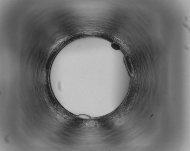 X0000096690587200803041302