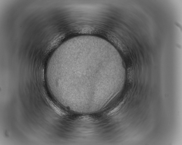 X0000096690589200803041302