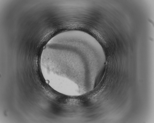 X0000096690590200803041302