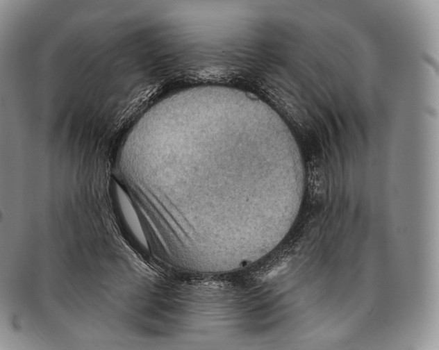 X0000096690593200803041302