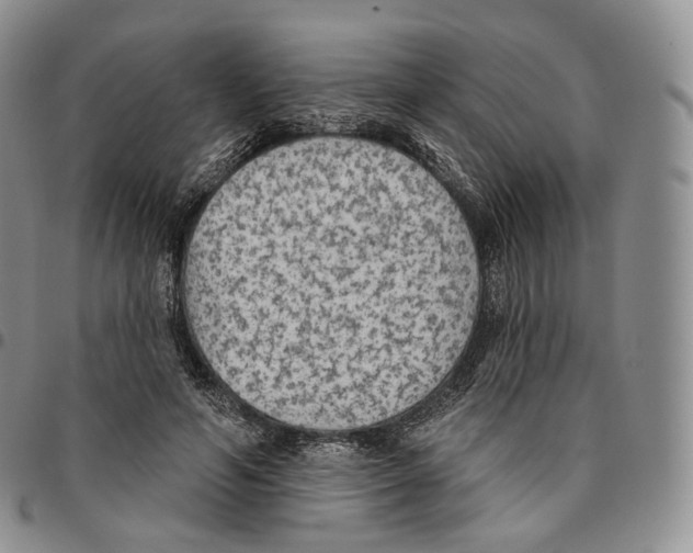 X0000096690594200803041302