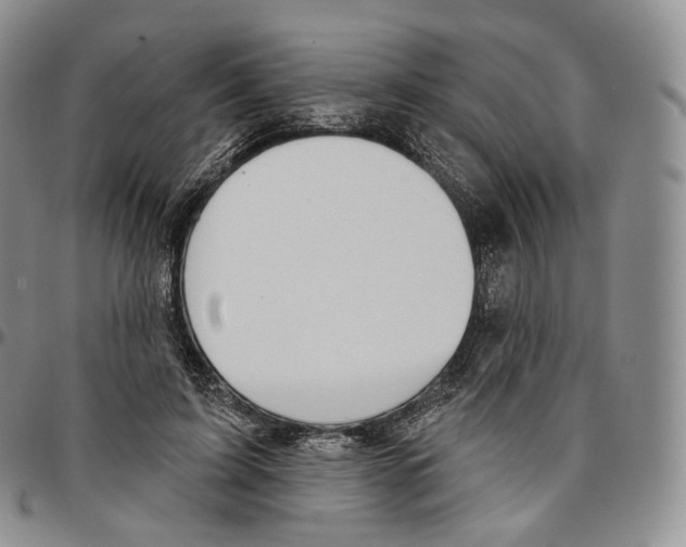 X0000096690595200803041302