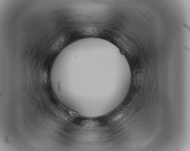 X0000096690597200803041302