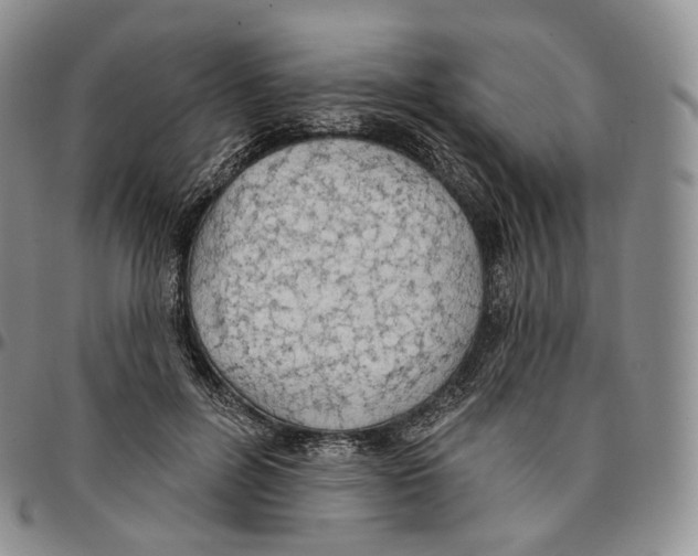 X0000096690600200803041302