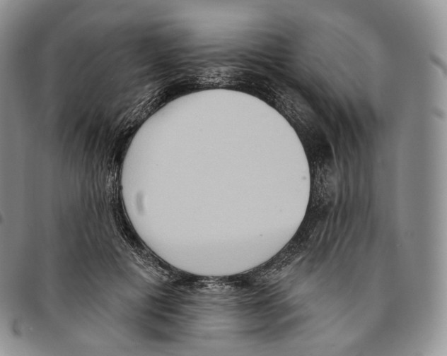 X0000096690601200803041302