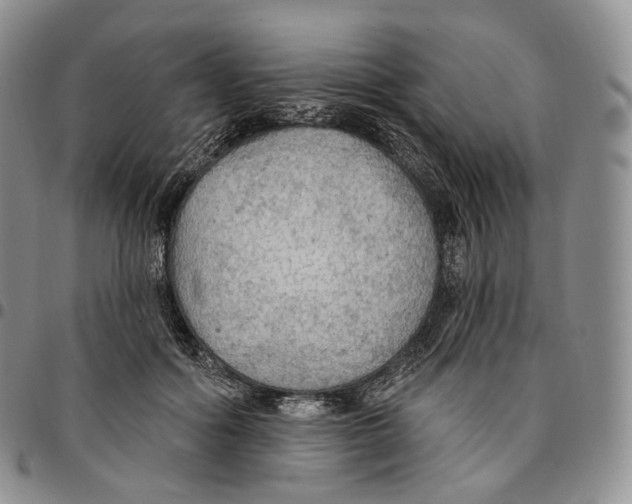 X0000096690602200803041302