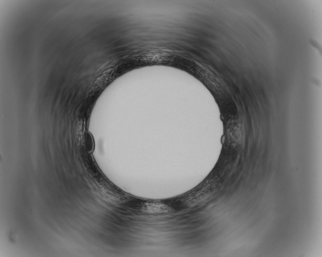 X0000096690605200803041302