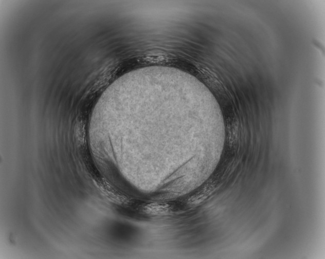 X0000096690606200803041302