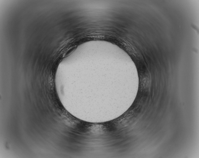 X0000096690609200803041302