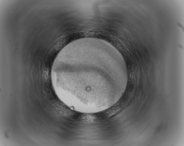 X0000096690610200803041302