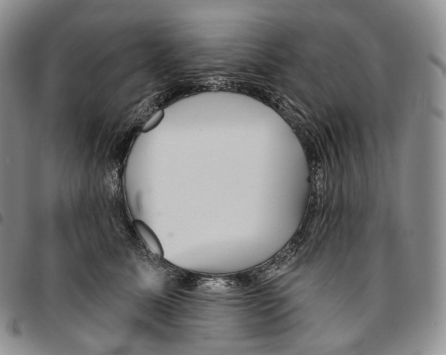 X0000096690611200803041302