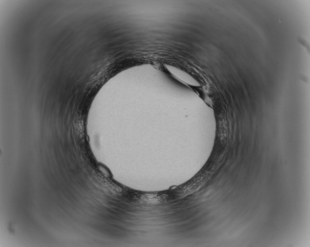 X0000096690613200803041302