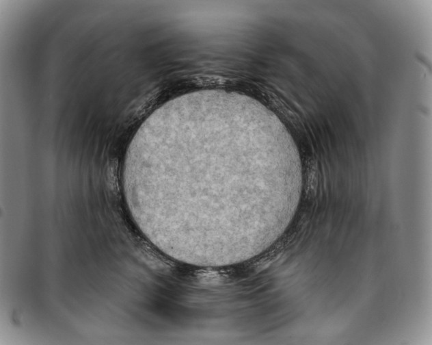 X0000096690616200803041302