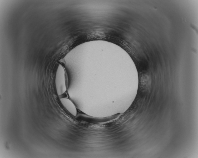 X0000096690617200803041302