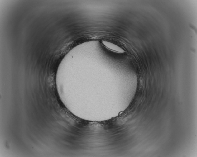 X0000096690620200803041302