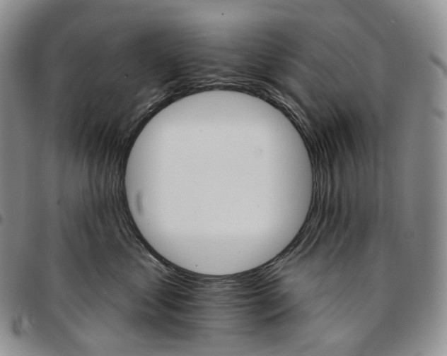 X0000096690621200803041302