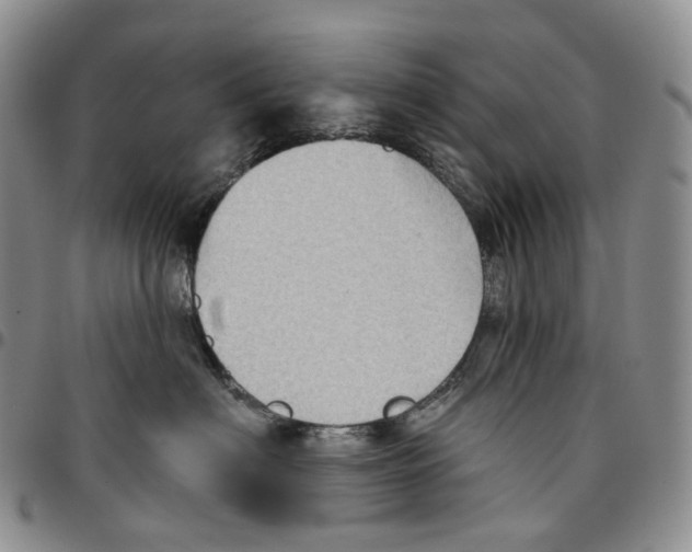 X0000096690622200803041302