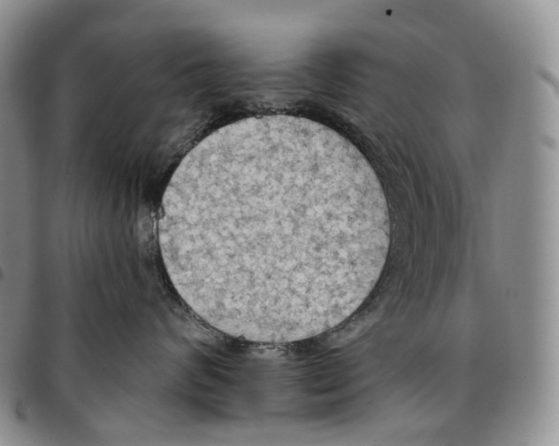 X0000096690624200803041302