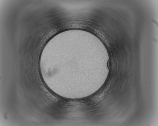 X0000096690625200803041301