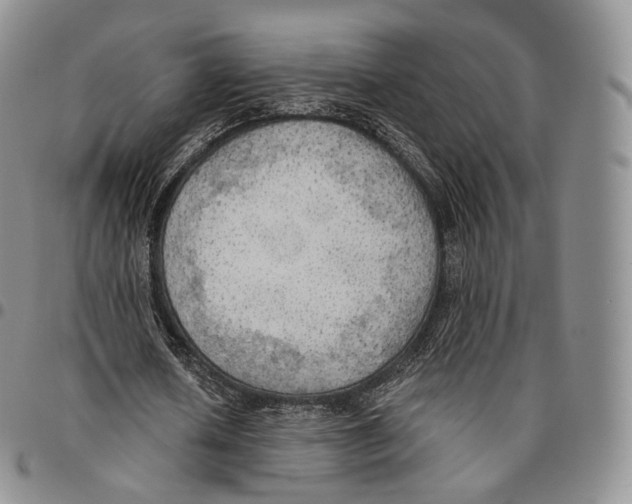 X0000096690626200803041301