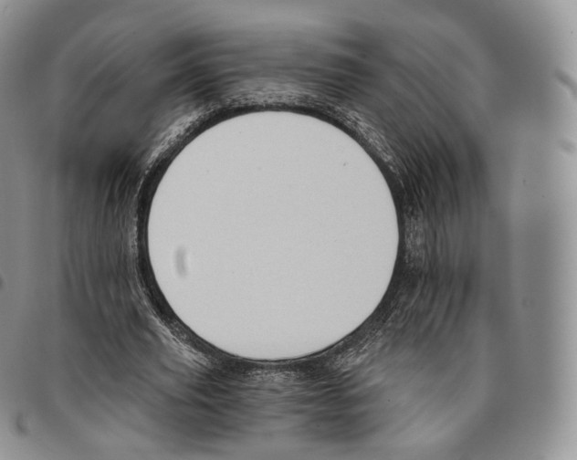 X0000096690629200803041301