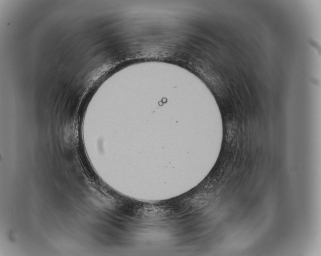 X0000096690632200803041301