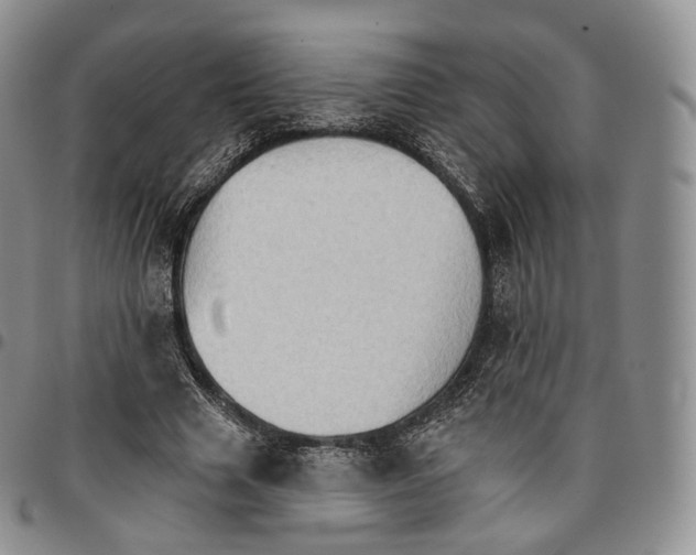 X0000096690633200803041301