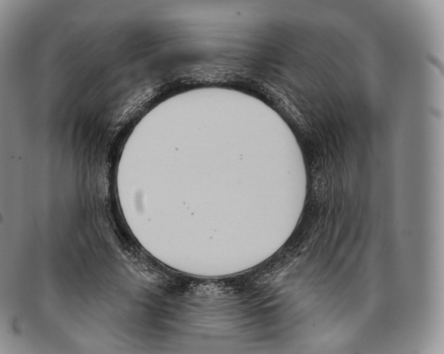 X0000096690635200803041301