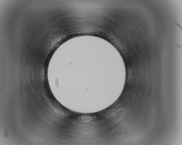 X0000096690636200803041301