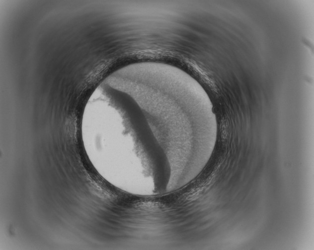 X0000096690637200803041301