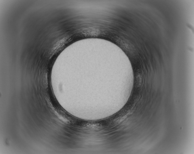 X0000096690638200803041301