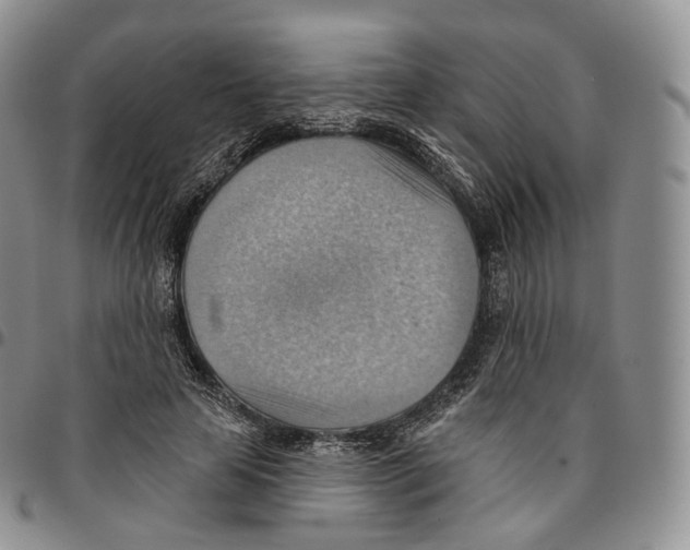 X0000096690641200803041301