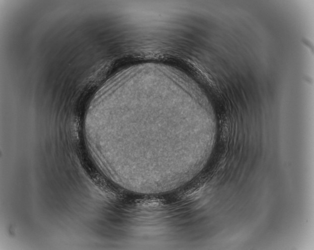 X0000096690643200803041301