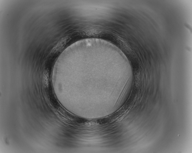 X0000096690644200803041301