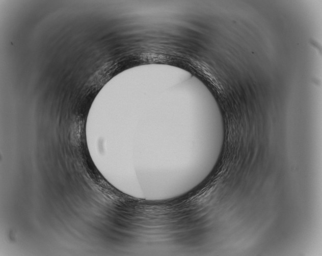 X0000096690645200803041301