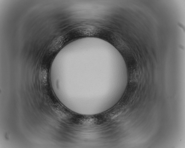 X0000096690646200803041301