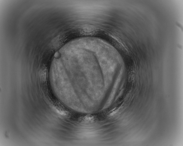 X0000096690647200803041301