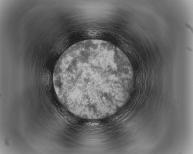 X0000096690651200803041301