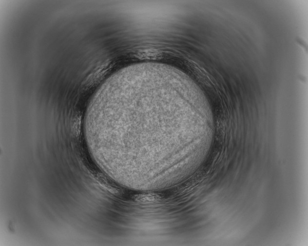 X0000096690652200803041301