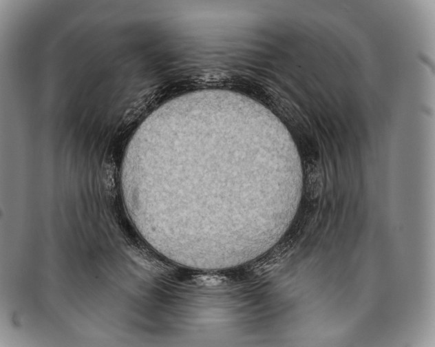 X0000096690654200803041301