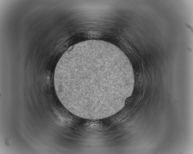 X0000096690655200803041301